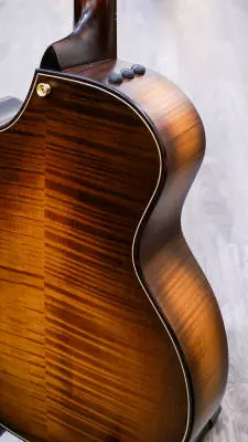 Taylor Guitars - Builder's Edition 614ce with V-Class Bracing - Wild Honey Burst 2